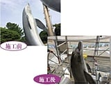 福岡市東区 海の中道海浜公園　モニュメント イルカ塗装