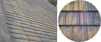 屋根塗装　塗り替え　セメント瓦　遮熱