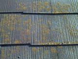 屋根塗装　塗り替え　スレート　カビ